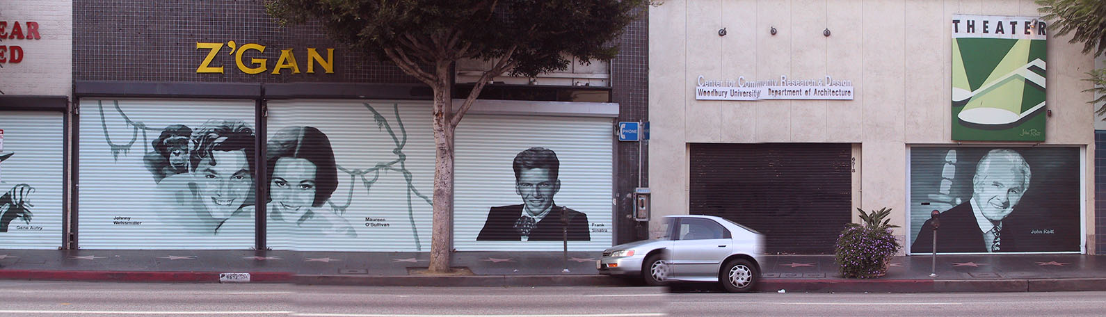 Weismuller, O'Sullivan,Sinatra and Raitt painted on doors